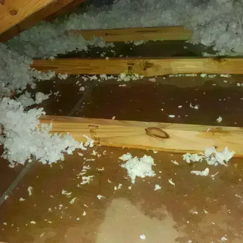 Attic Water Damage in Rocky Mount, VA